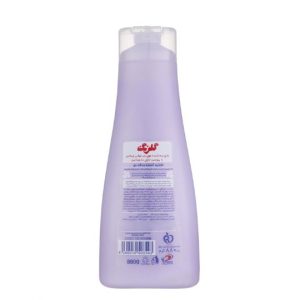 نرم کننده مو بنفش گلرنگ سری Plus Protein مقدار 880 گرم
