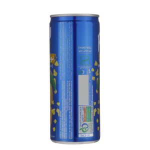 نوشیدنی انبه حاوی تیکه های واقعی میوه رانی – 240 میلی لیتر بسته 6 عددی