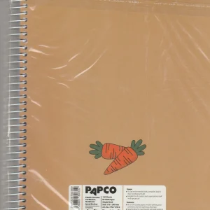 دفتر مشق 100 برگ پاپکو طرح PN-717014 کد DR522
